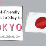 Budget-Friendly Places to Stay in Tokyo Your Complete Guide to Affordable Accommodations