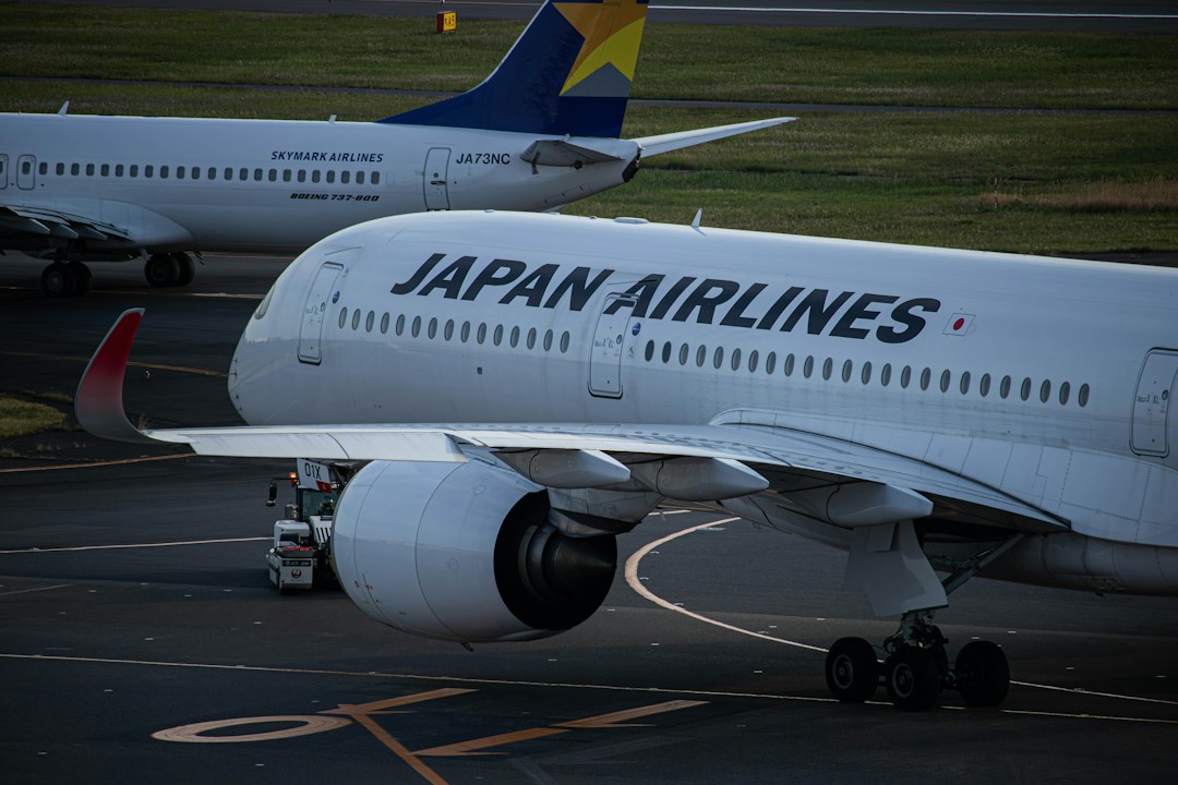 Customs arrival procedures in Japan for international travelers