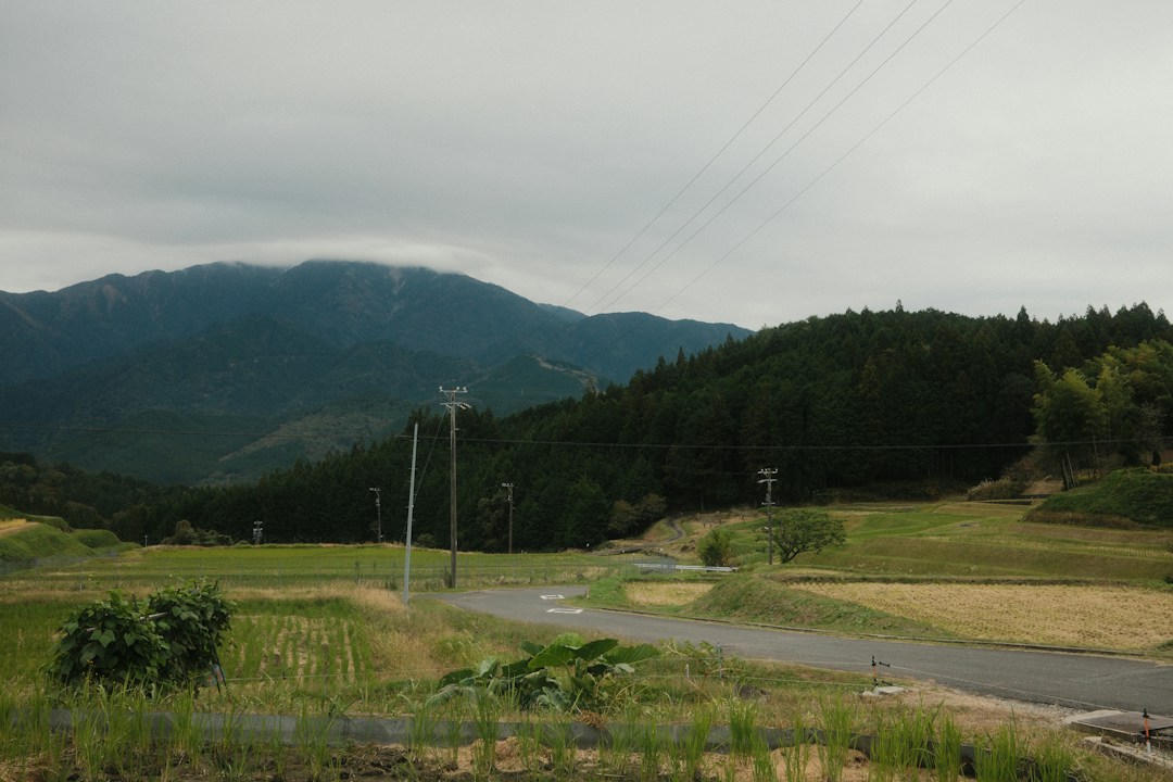 Rural Japanese landscape showing the kind of regional scenery travelers can see by train